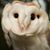 Heather Wi'Tahca Kime's profile image