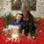 Lorraine Ball's profile image