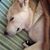 Julie Cutitta Boneberg's profile image