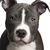 Caren Evans's profile image