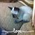 Tanya Bell Bracken's profile image