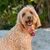 Mary Grace Wilkus's profile image