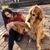 Alexa Nicastro's profile image