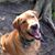 Debbie Anderson's profile image