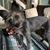 Della Faye Gray's profile image