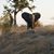 Joanne Haller Swisher's profile image