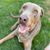 Tricia Blough's profile image