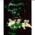 Ann Geis's profile image