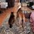 Connie Crepeau's profile image