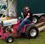 Andrea Lynn Wallace's profile image