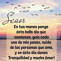 Nelly Lugo's profile image