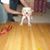 Ahilan Lingam's profile image