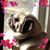 Matt Caudill's profile image