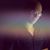 Elliot La-Mer's profile image