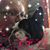 Jamie Lane's profile image