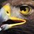 Luis German Camacho's profile image