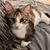 Tonya Carr Matlock's profile image