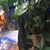 Jacquelyn Oneal's profile image