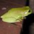 Josephine Hetherington's profile image