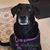 Carol Andreasen Yeakle's profile image