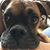 Gail Patterson's profile image