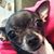 Angi Dawkins's profile image