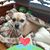 Todd Reeser's profile image
