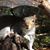 Karen Downs's profile image