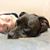 Beatriz Perez's profile image
