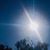 Stephanie Smith Coile's profile image