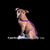 Angelina Wilson's profile image