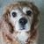 Diane Eckman's profile image