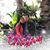 Mayank Sinha's profile image