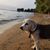 RaeAnn Marshall Duer's profile image