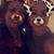 Michelle Galassi-Miller's profile image