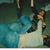 Susan English's profile image