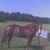 Lee Dozier's profile image