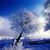 Julie McGall's profile image