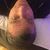 Todd Holder's profile image