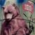 Isa Bära's profile image