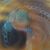 Michael Bowen's profile image