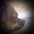 Dorian Reed's profile image