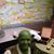Mike Mitchell's profile image