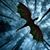 Lori Beth Kidd's profile image