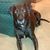 Tawnya Shelton Haag's profile image