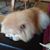 Lori Carroll's profile image
