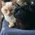 Erin Ashcraft's profile image