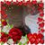 Susan Fulcher's profile image