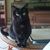 Kerri Mozley's profile image