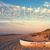Donna Gula-Dougherty's profile image